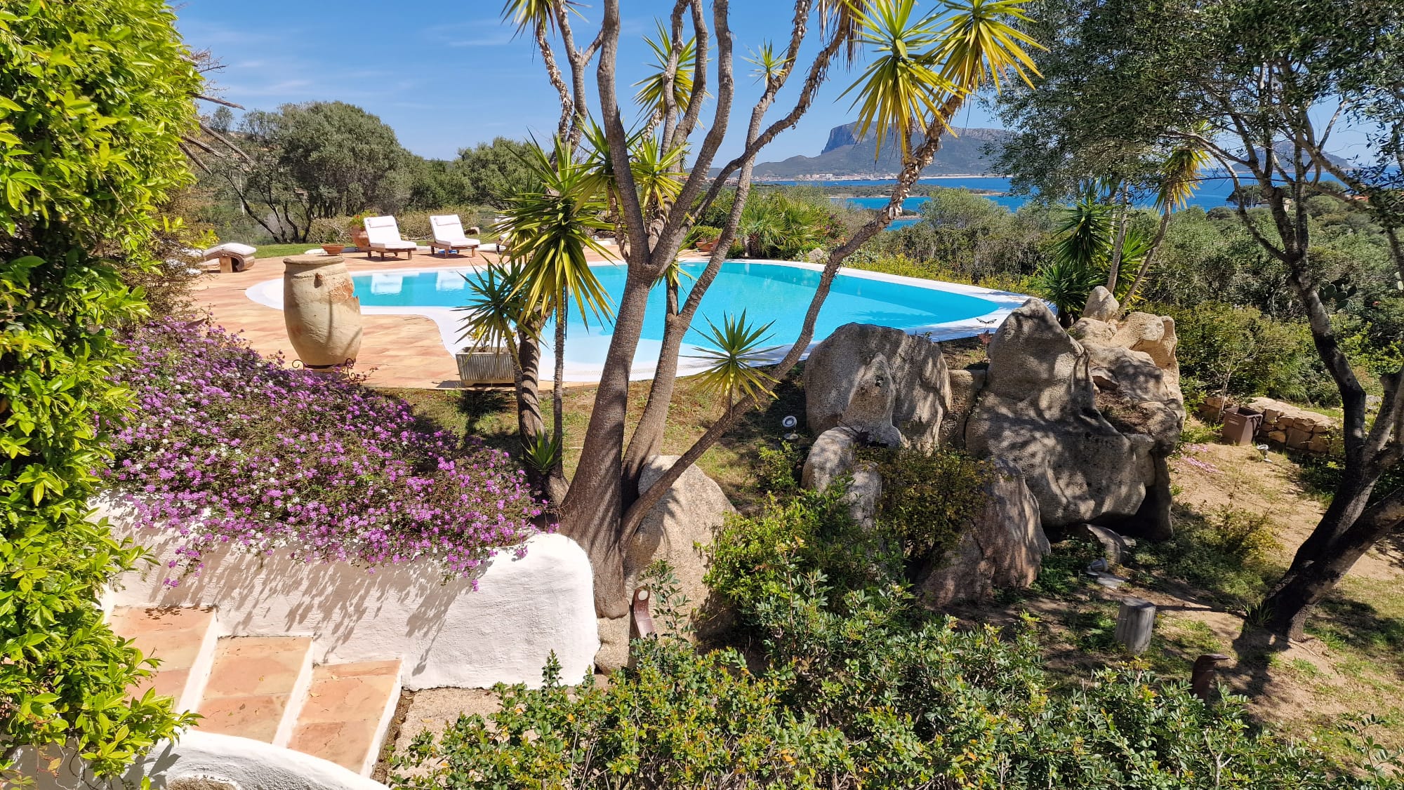 Gardens, greenery, pool on a calm sunny day