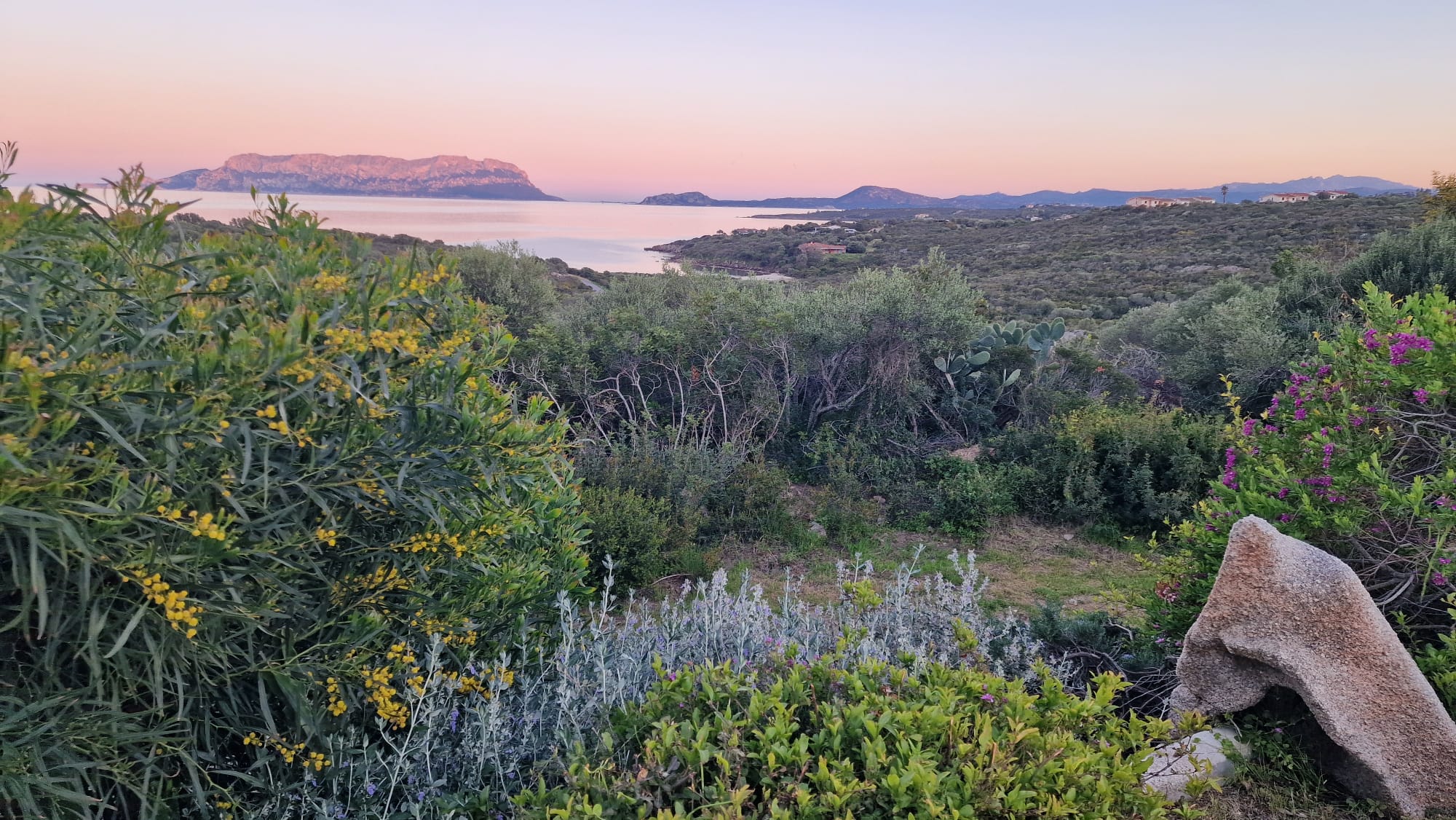 Gardens and sea