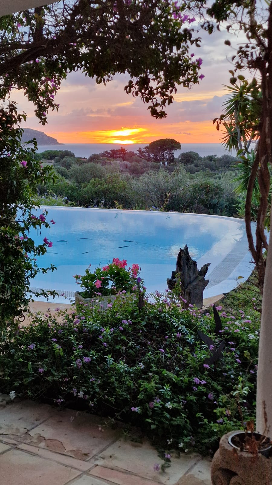 Gorgeous view of greenery sea and sunsets