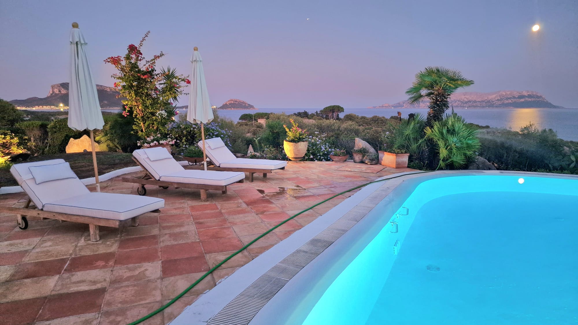 Illuminated pool and sunbeds at dawn