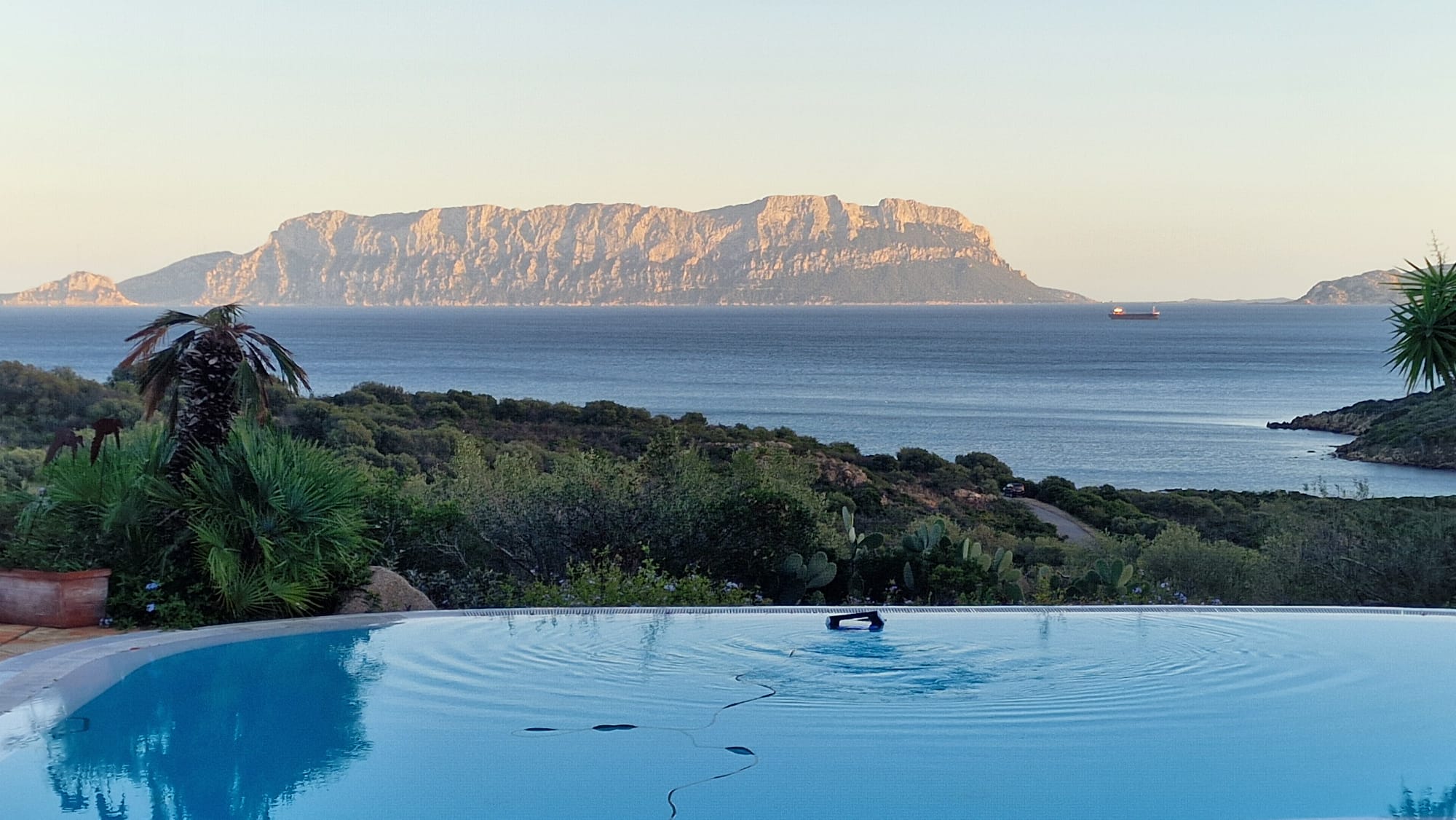 Morning view from the pool