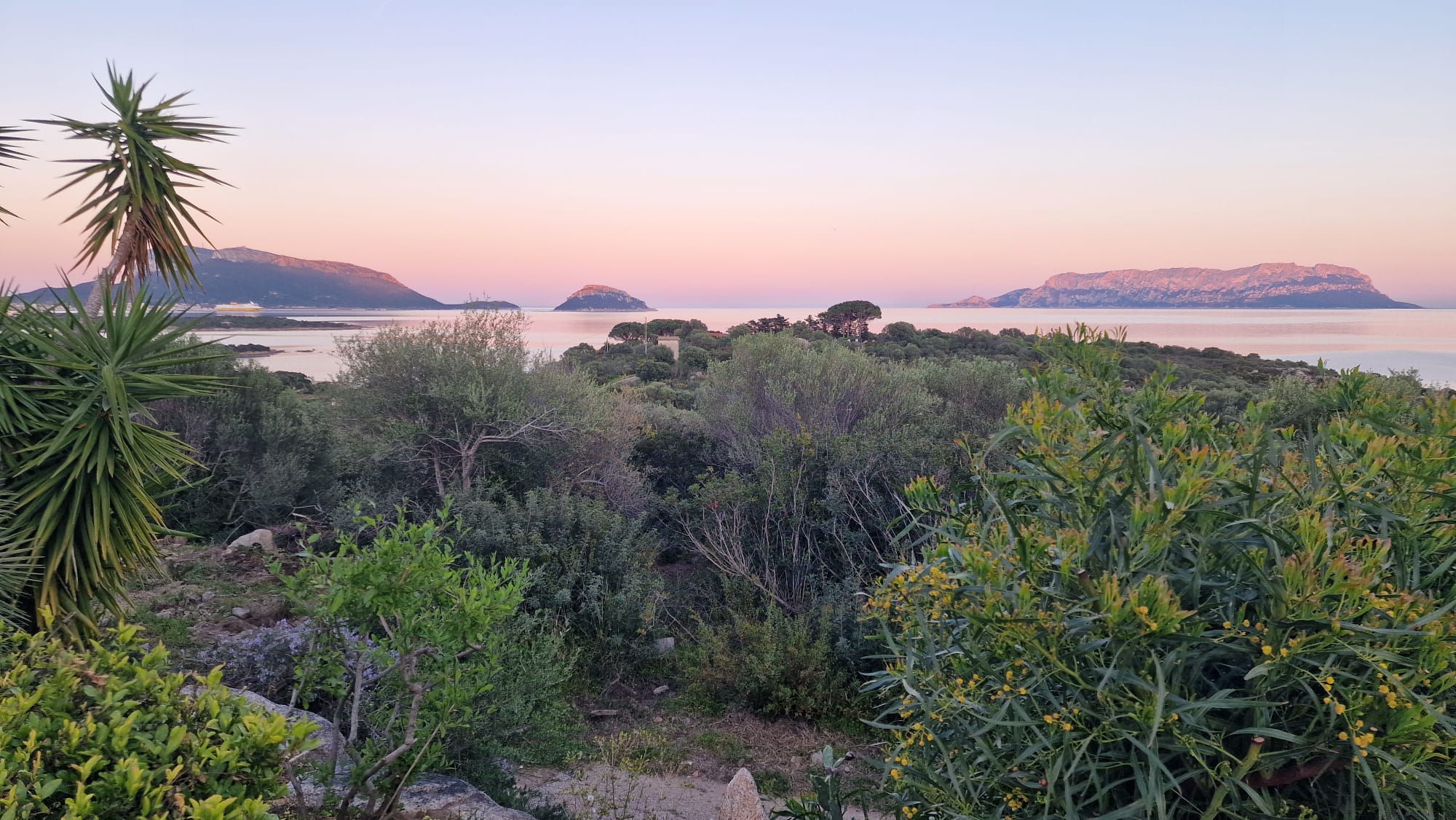 Panoramic views of gardens and sea