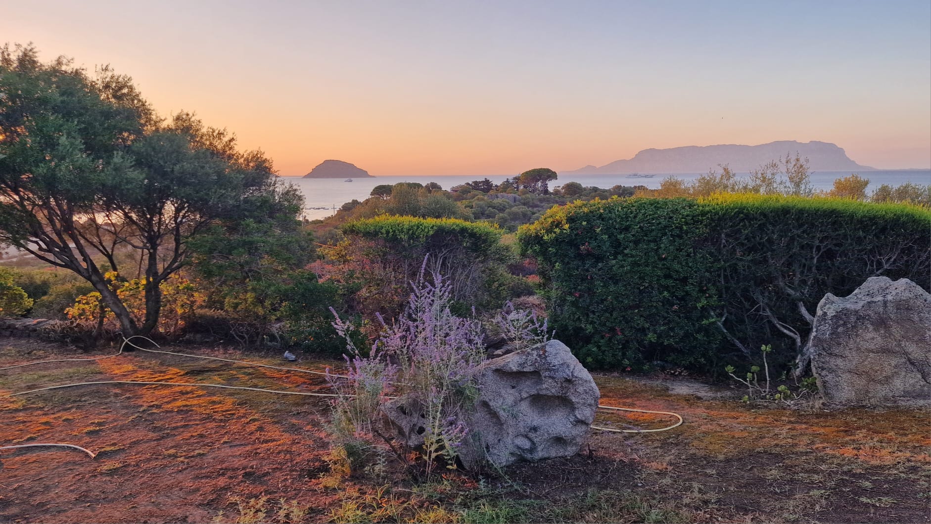 Sunset view gardens sea